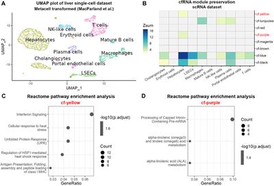 Network analysis of hepatocellular carcinoma liquid biopsies augmented by single-cell sequencing data